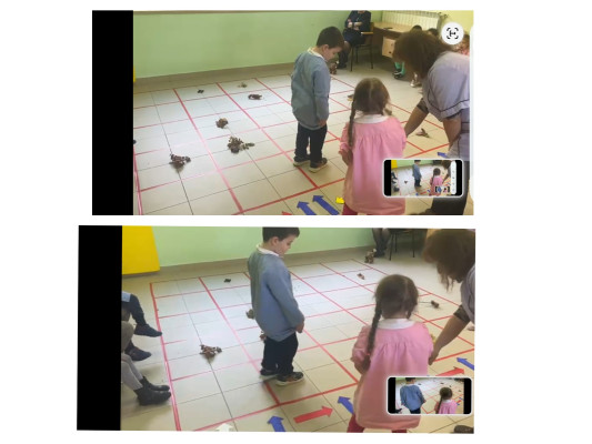 IL PERCORSO DEL PICCOLO ROBOT